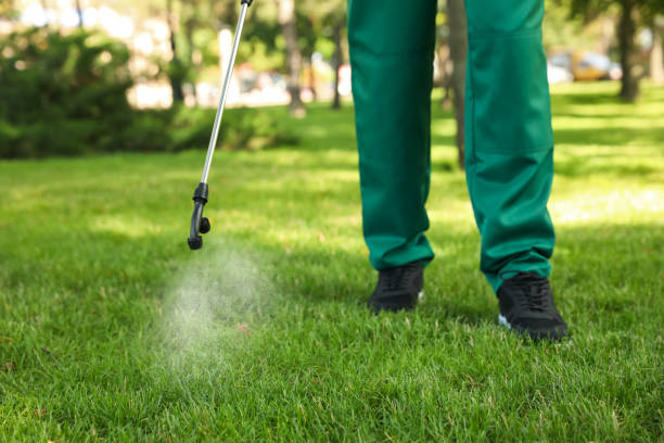 Best Exterminator Services  in New Burlington, OH