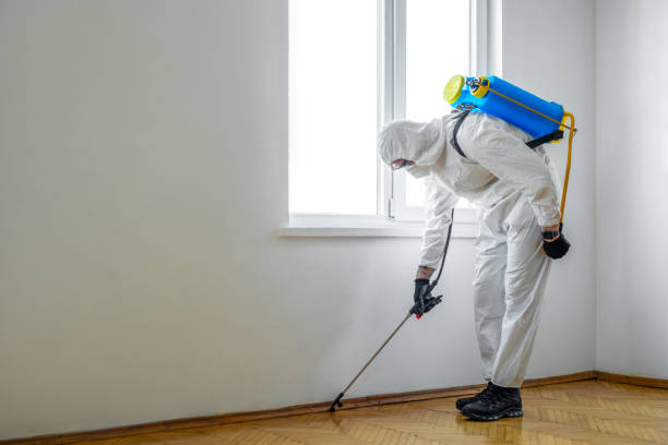 Best Pest Inspection Near Me  in New Burlington, OH