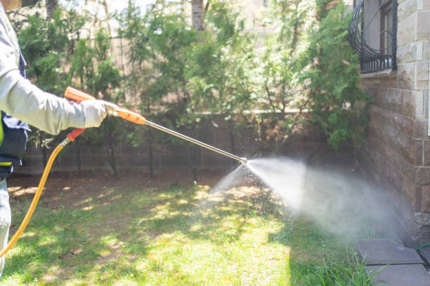 Best Rat Extermination Near Me  in New Burlington, OH