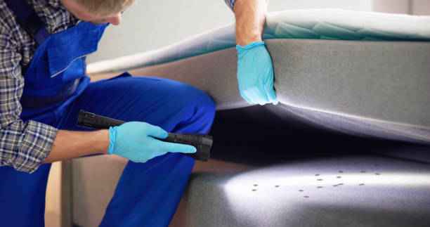 Best Pest Control Near Me  in New Burlington, OH