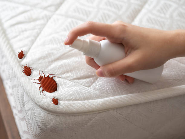 Best Pest Control for Restaurants  in New Burlington, OH