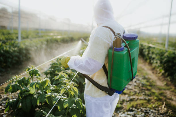 Pest Control for Restaurants in New Burlington, OH